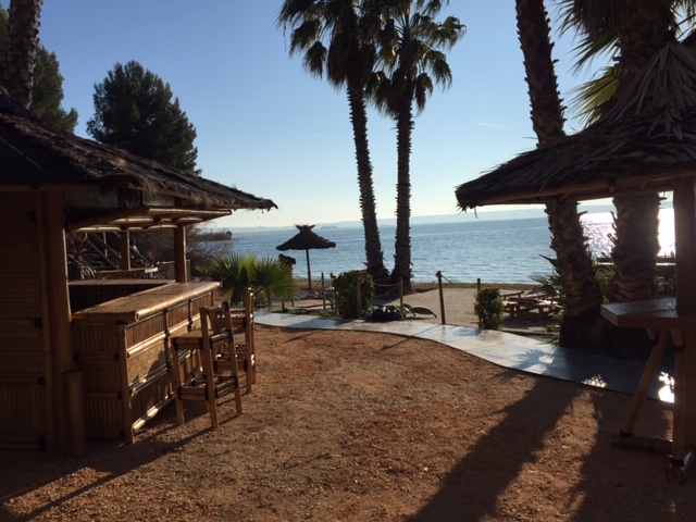 Bar "NAVARRO" Gazébo en bambou – Image 7