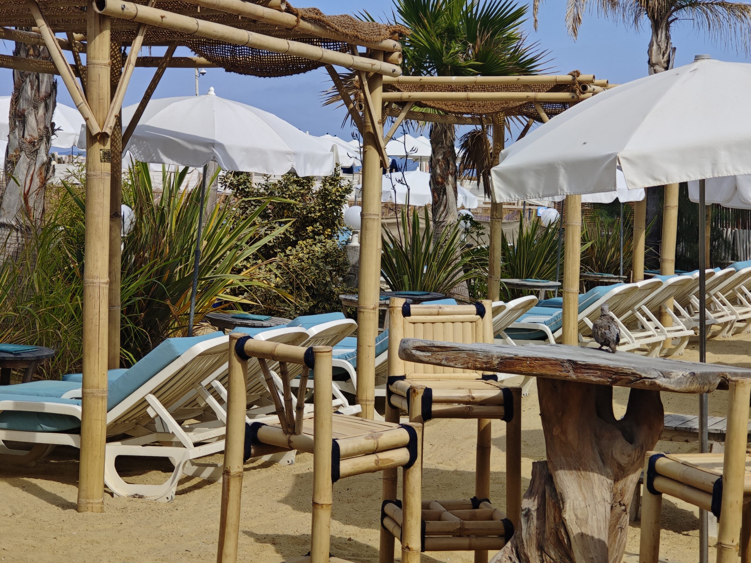 Bar de plage