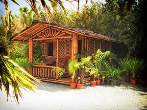 Maison en bambou avec terrasse - aménagement et exotisme
