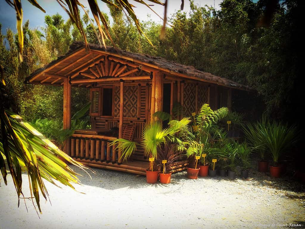 Maison en bambou dans parc exotique