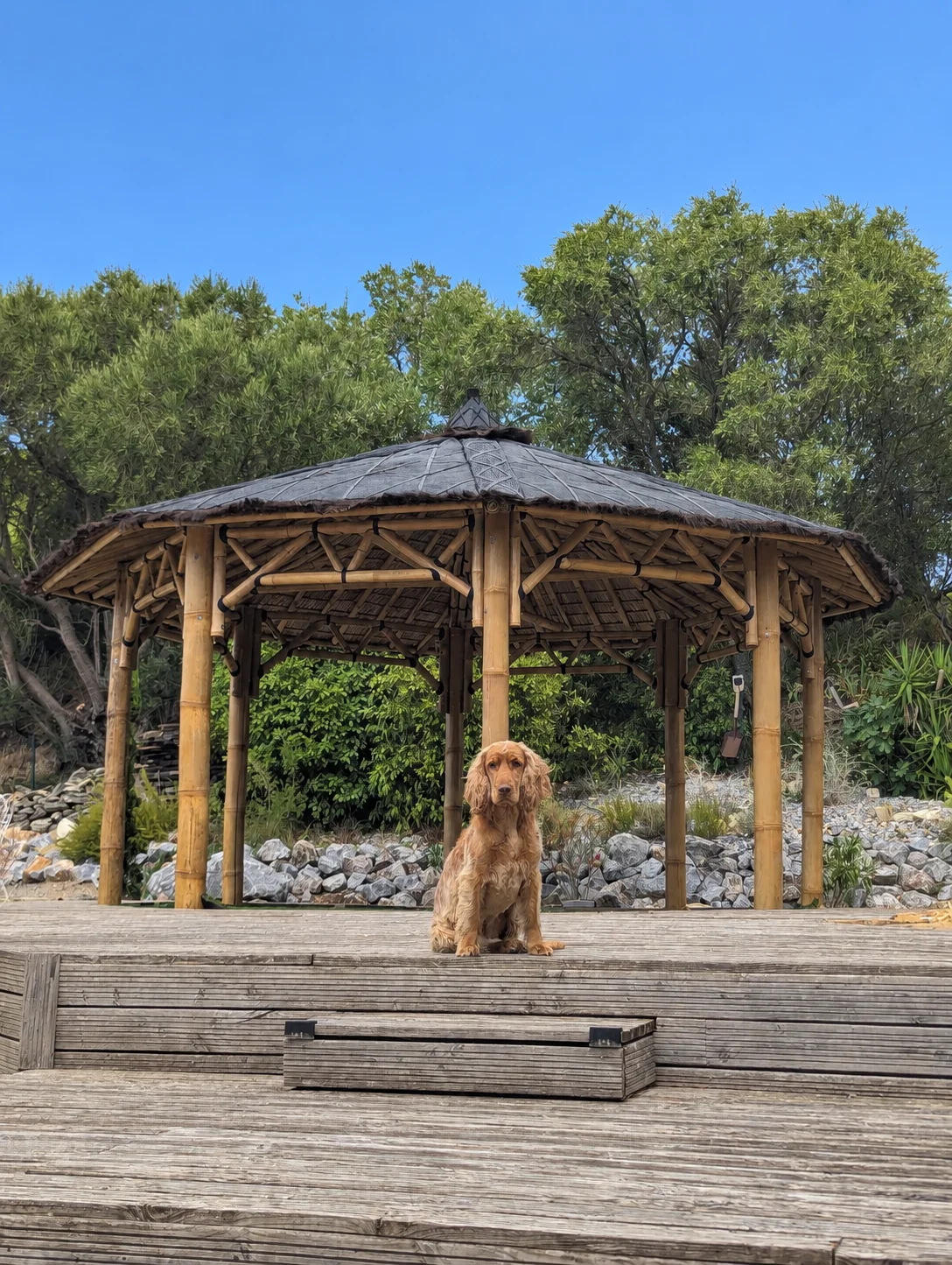 Gazébo octogonal en bambou dans un jardin avec un chien