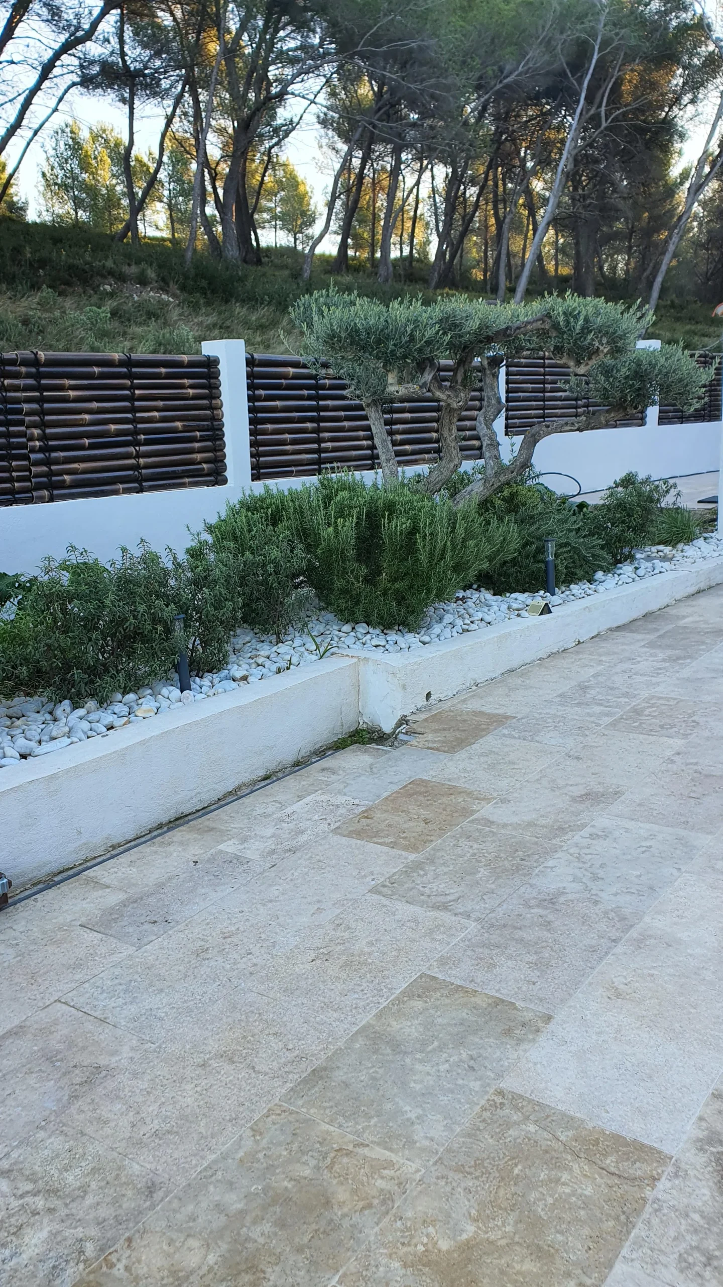 Panneaux de clôture en bambou – Image 2